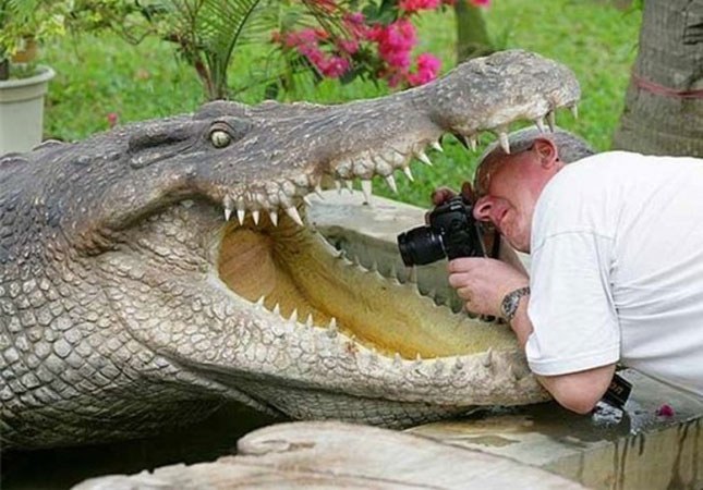 timsahin-agzinda-yanginda-okeanin-ortasinda-