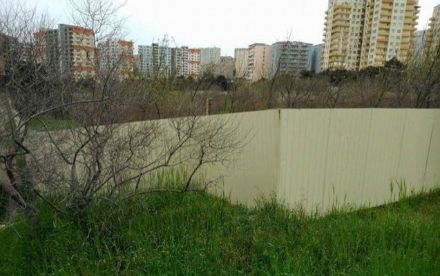 bakida-agaclari-kesib-polis-ve-mehkeme-binasi-tikirler-