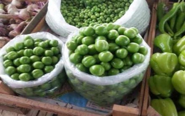 bakida-12-manata-alca-
