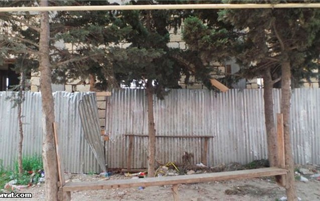 xetaide-agaclar-kesilir-