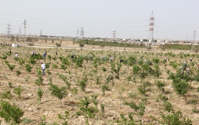 bakida-imeclik-kecirildi