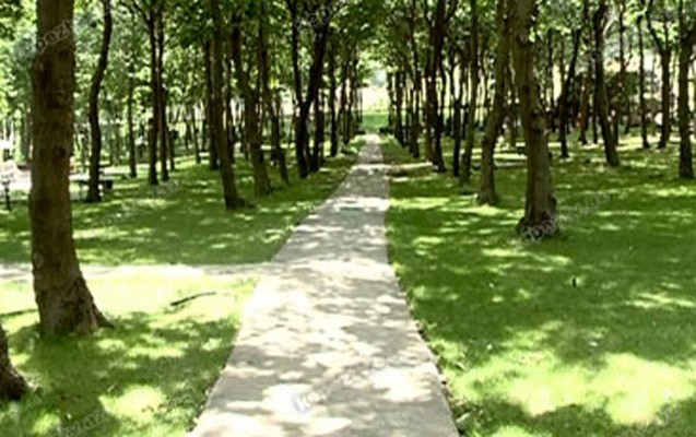 qadin-parkda-gezmeye-cixdi-bicaqlandi-