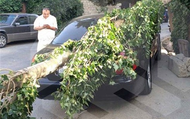 bakida-asan-agac-masini-bu-hala-saldi-