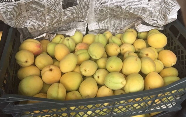 gomrukde-ermeni-mallari-askarlandi-