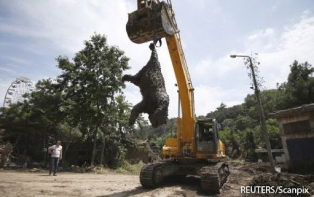 kurde-ayi-cesedi-tapildi