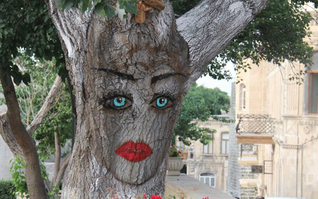 bakida-qiz-agaci-