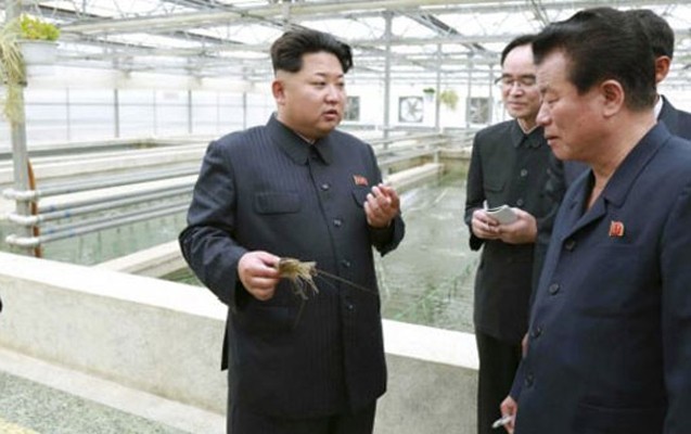 kim-cenden-daha-bir-edam-