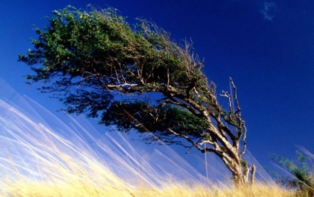 kulek-ne-vaxt-dayanacaq