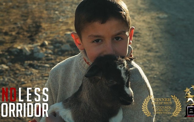 sonsuz-dehliz-filmi-mukafat-aldi