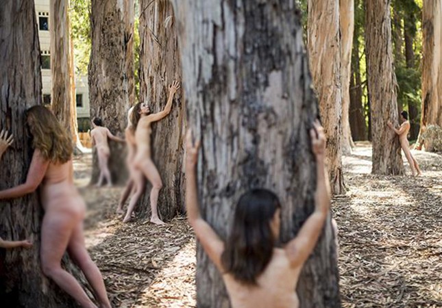 agaclar-ucun-soyundular-