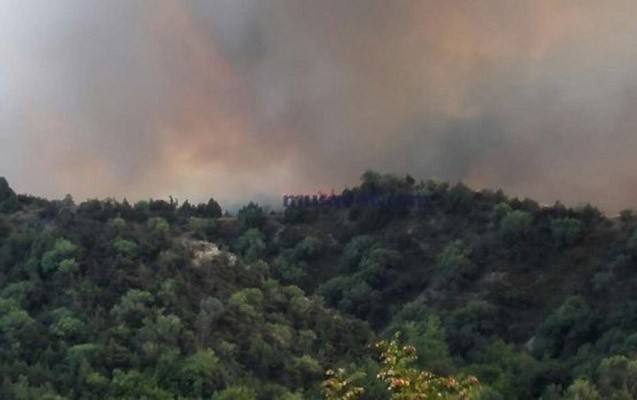 qebele-erazisinde-mese-yanir-