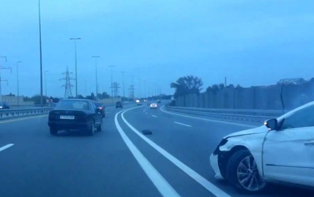 5-yasli-usagi-masin-vurdu-