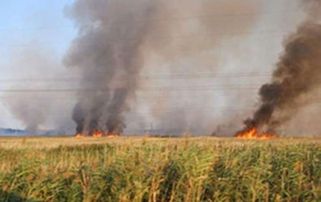 90-hektar-sahede-yangin-