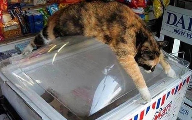 istiden-tek-siz-eziyyet-cekmirsiniz-