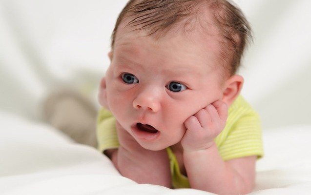 vor-cinayetkar-susebend-