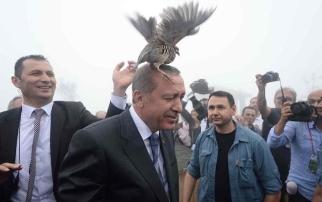 erdoganin-basina-keklik-qondu-
