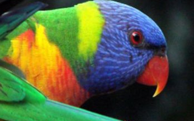 tutuqusunu-polise-sikayet-etdi-