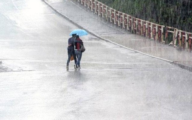 sabah-yagis-yagacaq-