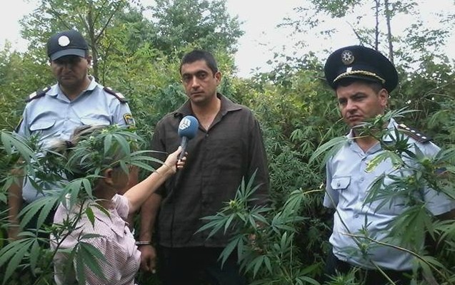 gizli-narkotik-plantasiyasi-askarlandi-