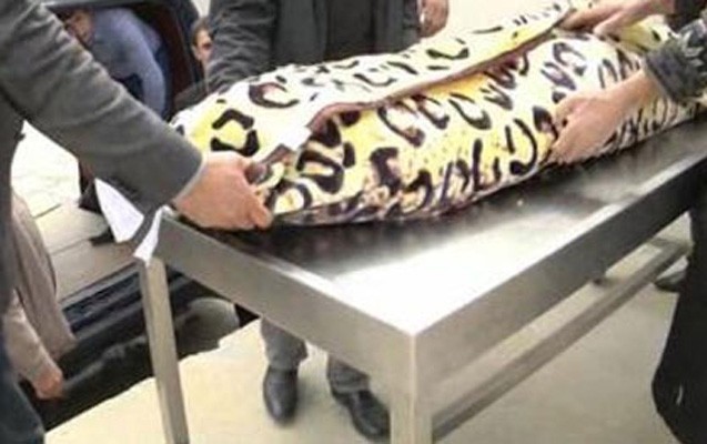 reis-muavinin-arvadinii-olduren-sexs-hebsde-oldu