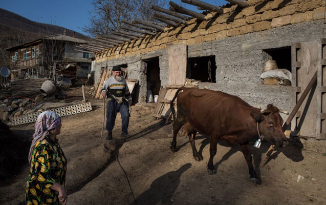 terterde-heyvanlar-niye-telef-olub