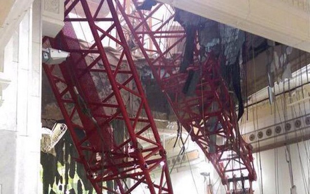 olenlerin-sayi-100-u-kecdi