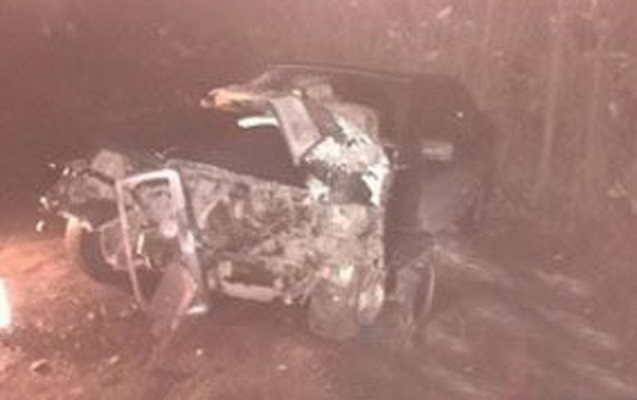 serxos-surucu-masini-agaca-cirpdi