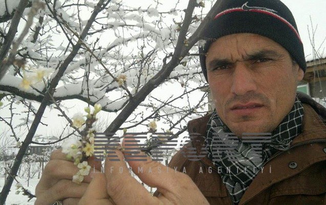 bu-saxtada-alca-agaci-gul-acdi