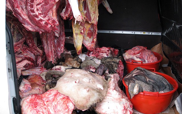 nazirlik-yararsiz-etleri-basdirdi