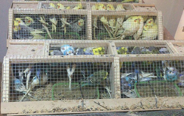 gomruk-komitesi-tutuqusular-haqda-aciqlama-yaydi