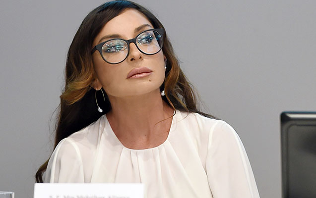 birinci-xanim-ereb-nazirle-gorusdu