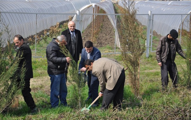 lenkeranda-1500-agac-ekildi