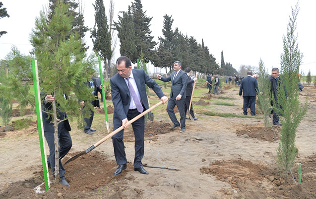 icra-bascisi-agacekme-kampaniyasina-qosuldu