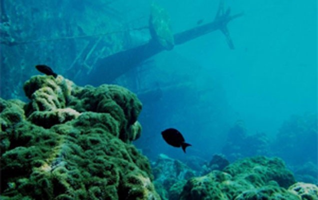 batmis-gemileri-bu-yolla-tapmaq-olacaq