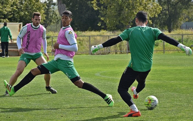 prosineckiden-hemise-zeng-gozleyirem-