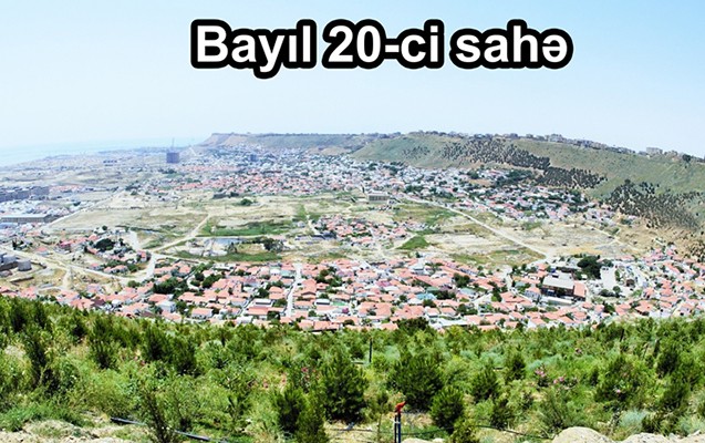 nazirlik-son-3-ayda-160-minden-cox-agac-ekib