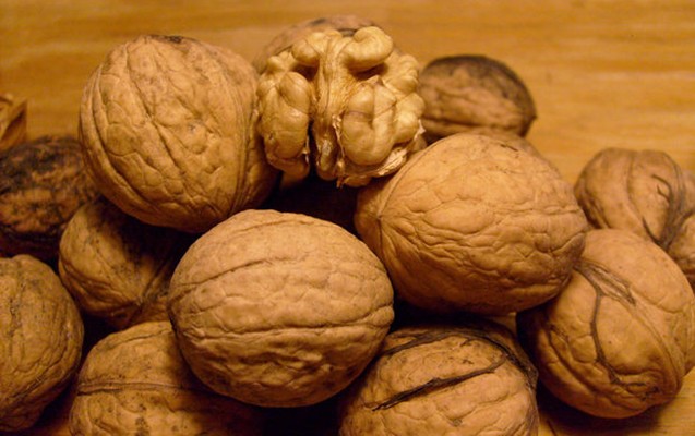 rus-qizlardan-yenilik