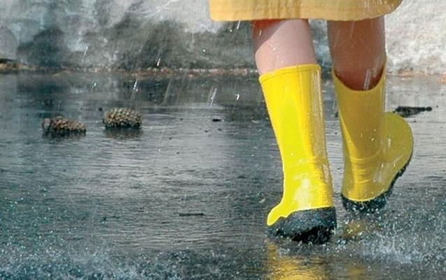 sabah-yagis-yagacaq-