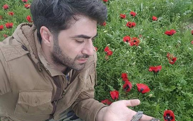 terterde-mal-tovlesinde-yasamagimizi-xatirladim