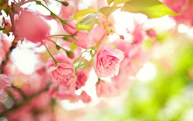 sabah-havanin-temperaturu-29-dereceye-qalxacaq