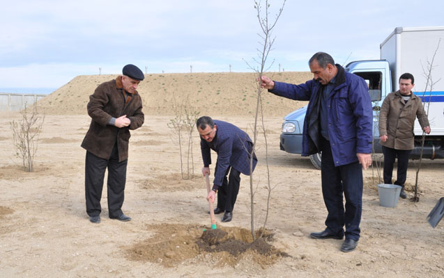 azersunun-yasillasdirma-tedbirleri