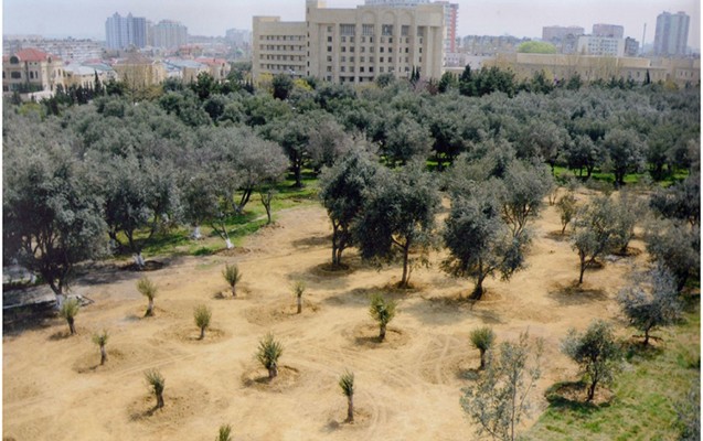 zerife-eliyeva-adina-park-kompleksi-yeniden-qurulub