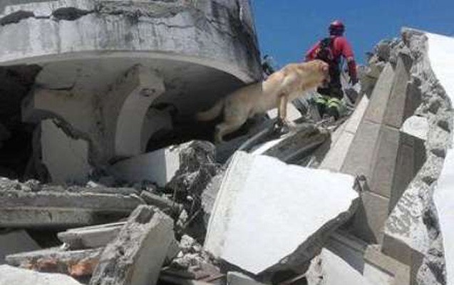 qehreman-it-7-neferi-xilas-edib-susuzluqdan-oldu