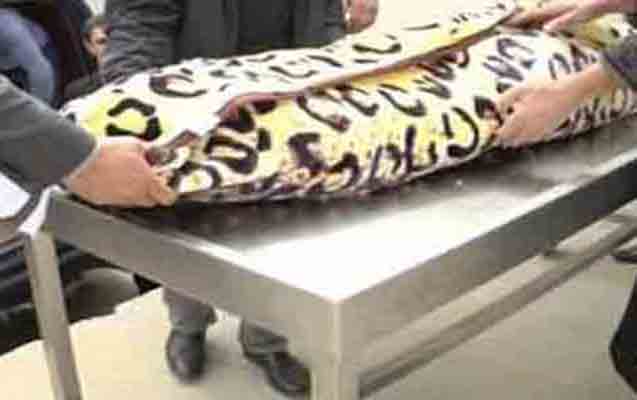 bagli-qapi-arxasinda-iki-meyit