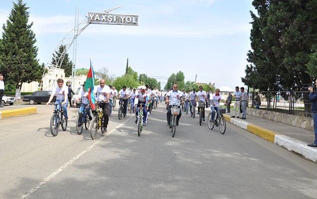 lenkeranda-veloyurus