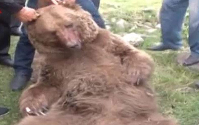 bagcaya-hucum-eden-ayinin-