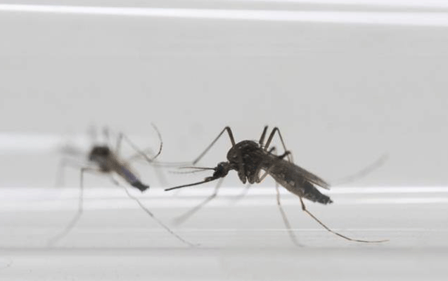 dst-dan-xeberdarliq-