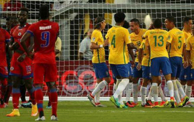 braziliyadan-7-qollu-qelebe