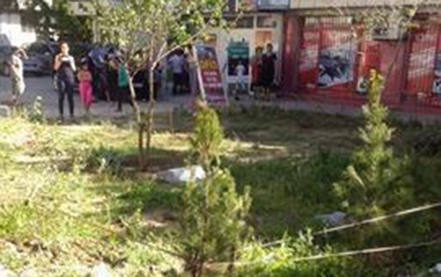 nerimanov-icra-hakimiyyetinden-agaclarin-kesilmesine-