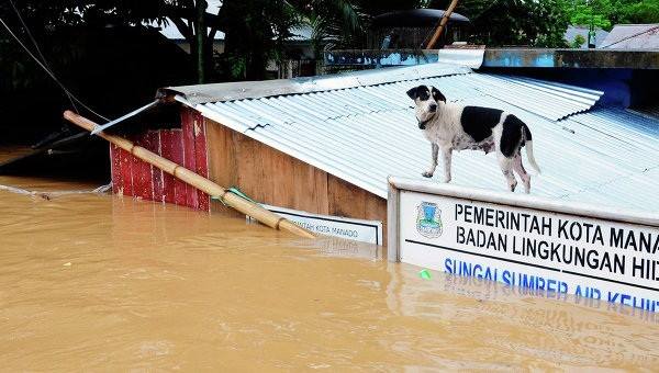 olenlerin-sayi-56-ya-catdi